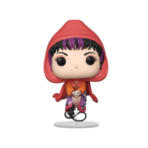 Hocus Pocus Mary Flying